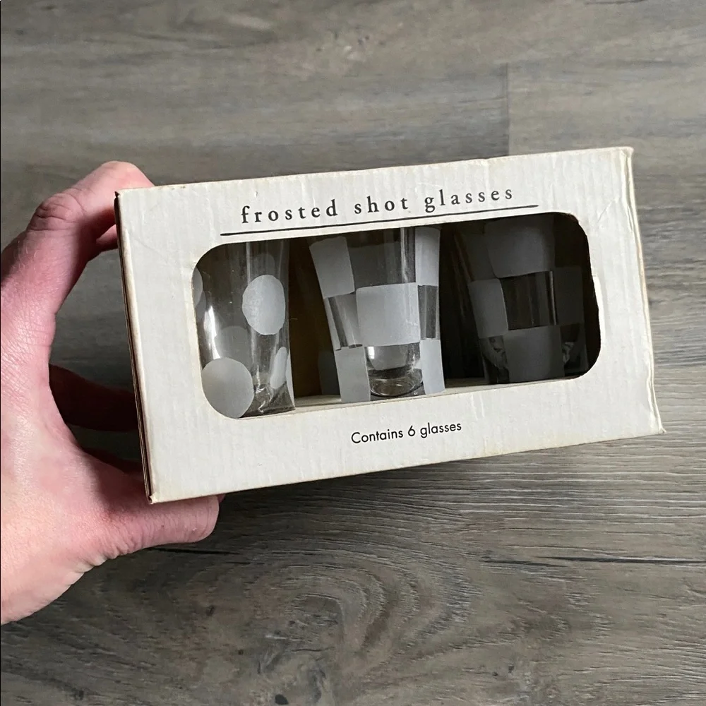 VINTAGE PIER 1 TASTING PARTY COMPLETE SET FROSTED SHOT GLASSES SET 6 PIECE SET